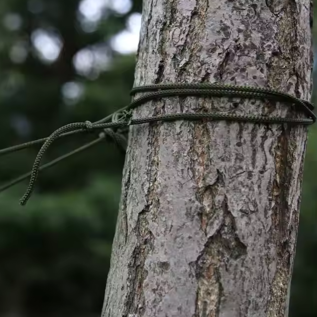 Camping Hammock